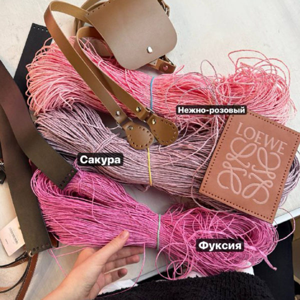 Рафия в пасме Рафаель (НА ВЕС)