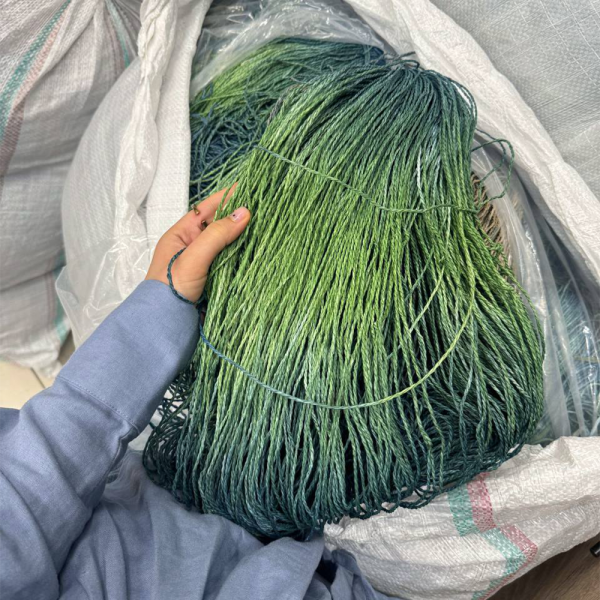 Рафия в пасме Рафаель Дольче