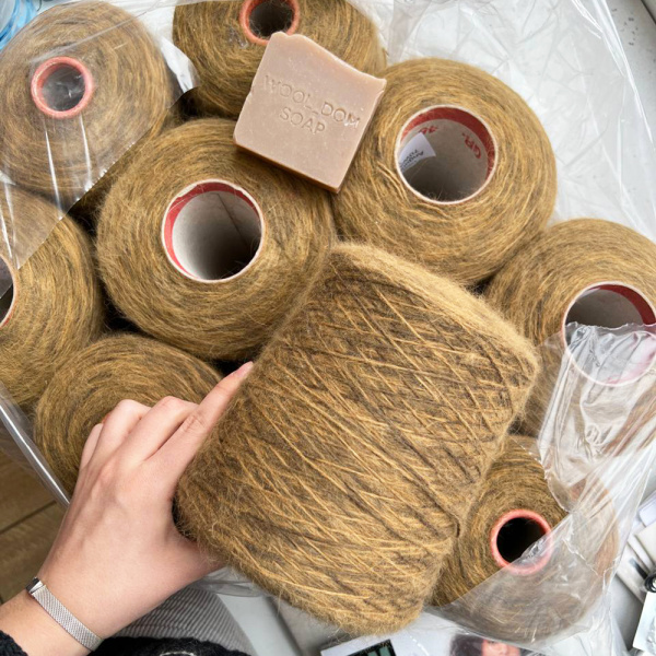 Бобина Angora PRINT