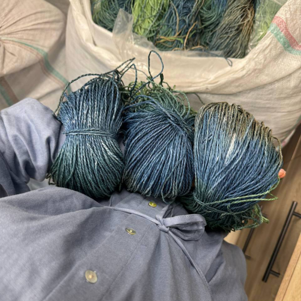 Рафия в пасме Рафаель Дольче