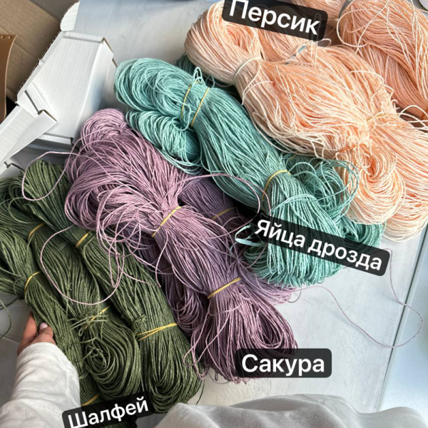 Рафия в пасме Рафаель (НА ВЕС)