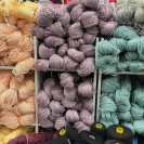 Рафия в пасме Рафаель (НА ВЕС)