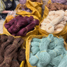 Рафия в пасме Рафаель (НА ВЕС)