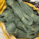 Рафия в пасме Рафаель (НА ВЕС)