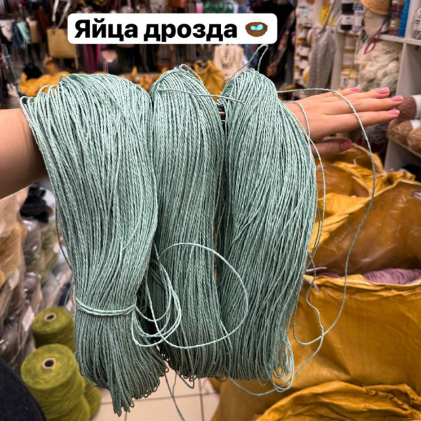 Рафия в пасме Рафаель (НА ВЕС)